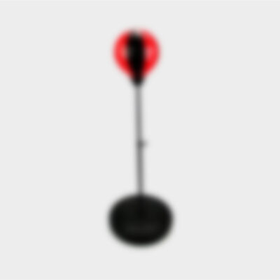 Free Standing Heavy Bag