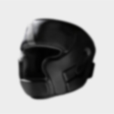 Head Shield